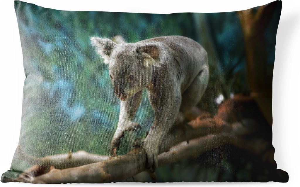MuchoWow Outdoor Kissen - Koala - Baum - Klettern - Kinder - Jungen - Mädchen - 50x30 cm - Wetterfest - Lounge Kissen - Sofa kissen - Wohnzimmer...