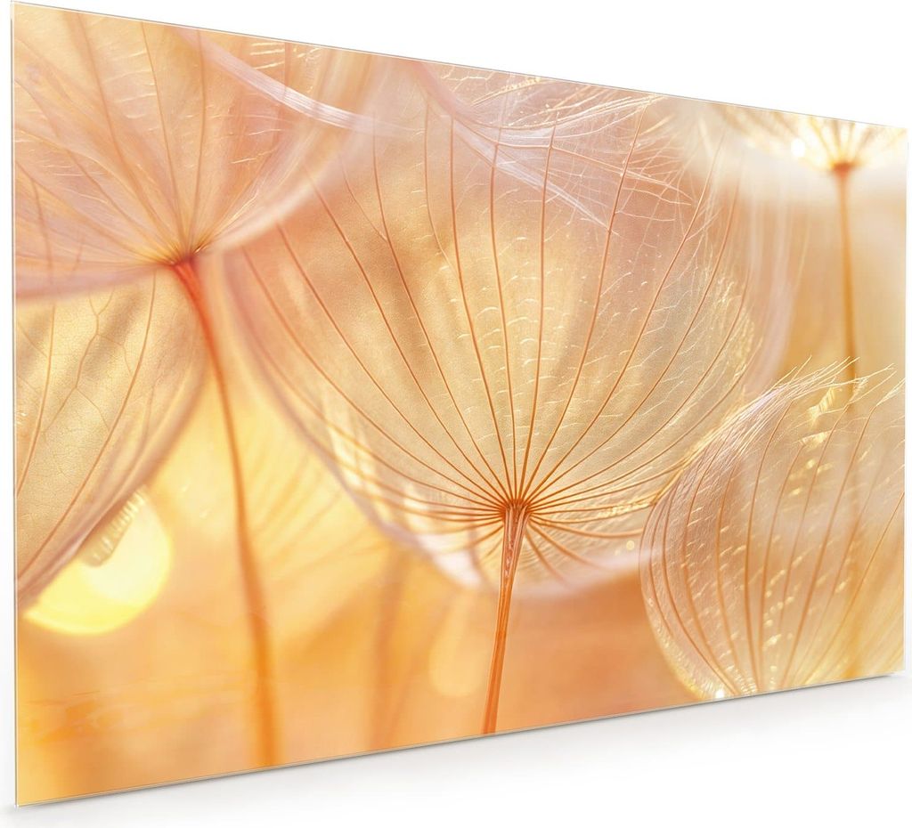 Küchenrückwand Spritzschutz Glas mit Motiv Dandelion Makroaufnahme 40 x 40 cm