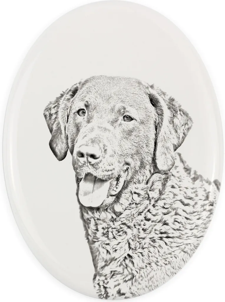 Lapide da Giardino Chesapeake Bay Retriever | Targa Art-Dog Ovale