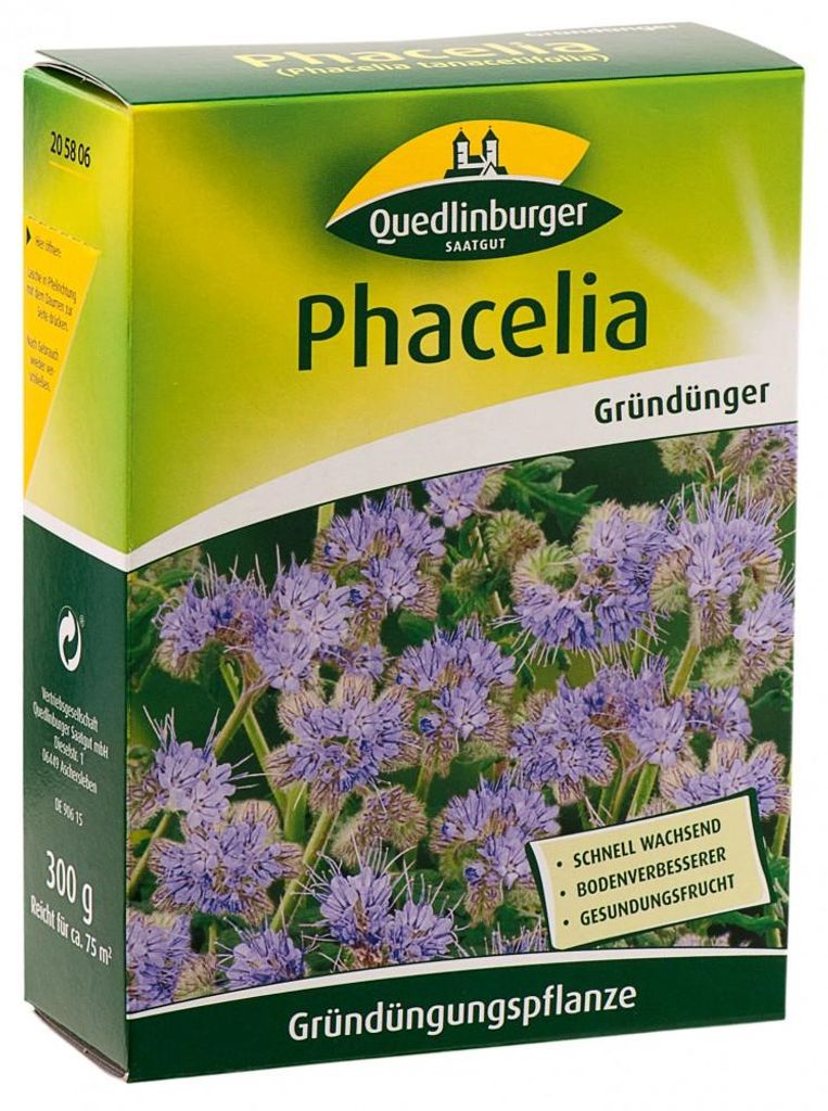 Phacelia 300 g |  Phaceliasamen von Quedlinburger Produktbild 