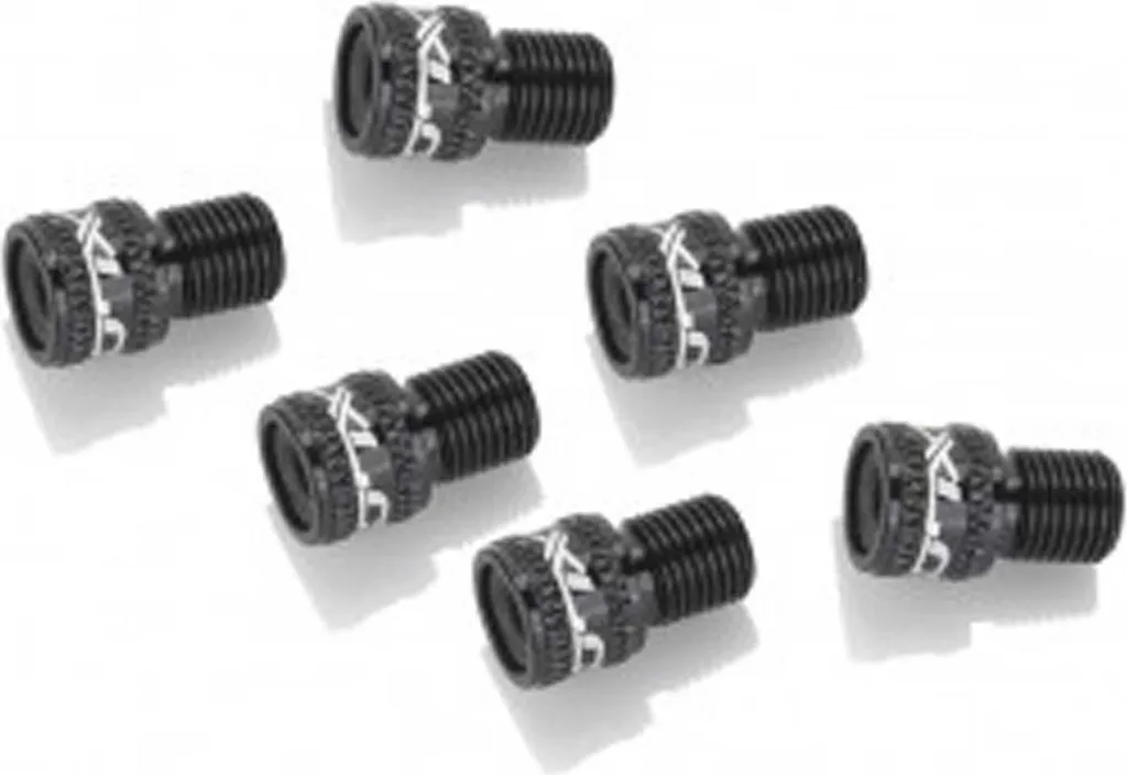 Gonflez tout avec l'adaptateur de valve XLC AV sur DV/SV noir x10