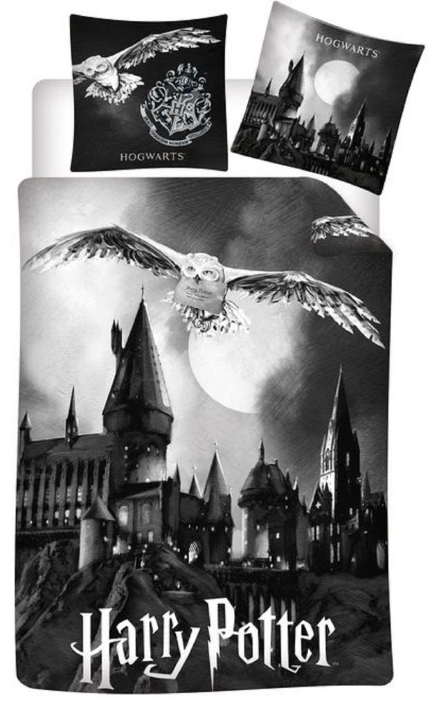 Harry Potter Flanelle Réversible Poudlard 2pcs 135 x 200 cm Image du produit 