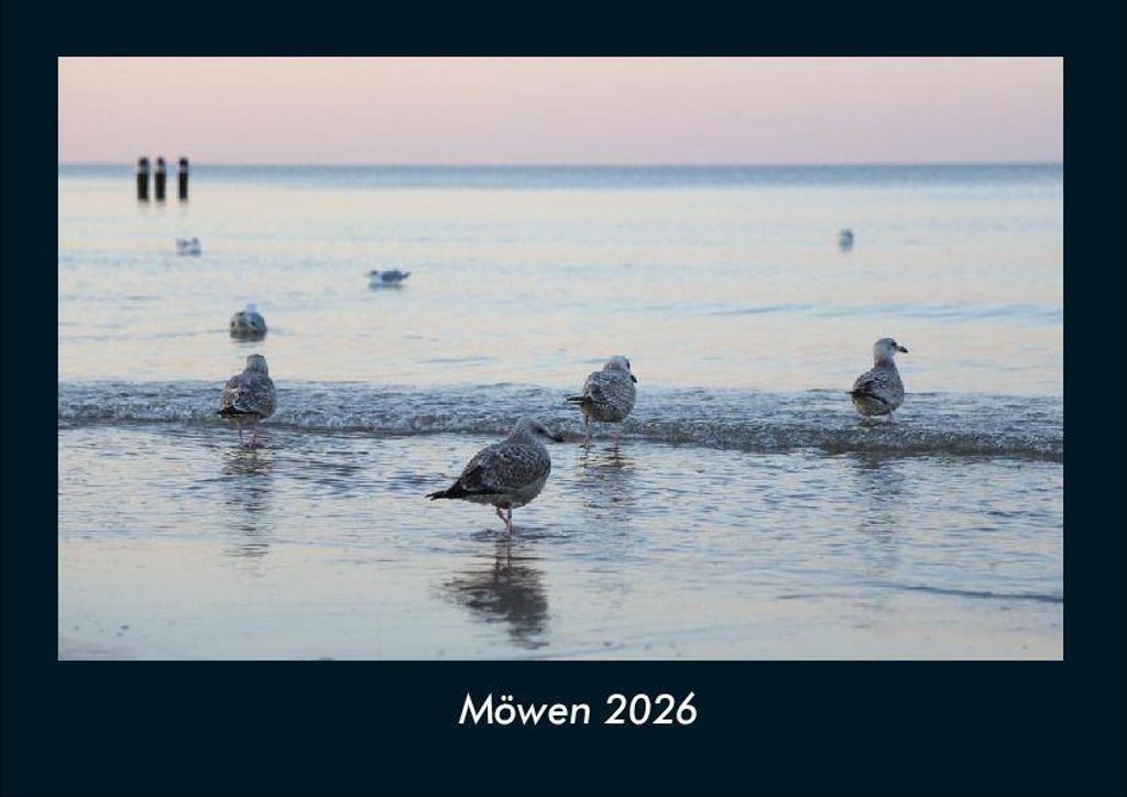 Möwen 2026 Fotokalender - Querformat DIN A4, Monatskalender mit Bild-Motiven von Haustieren, Bauernhof, wilden Tieren und Raubtieren