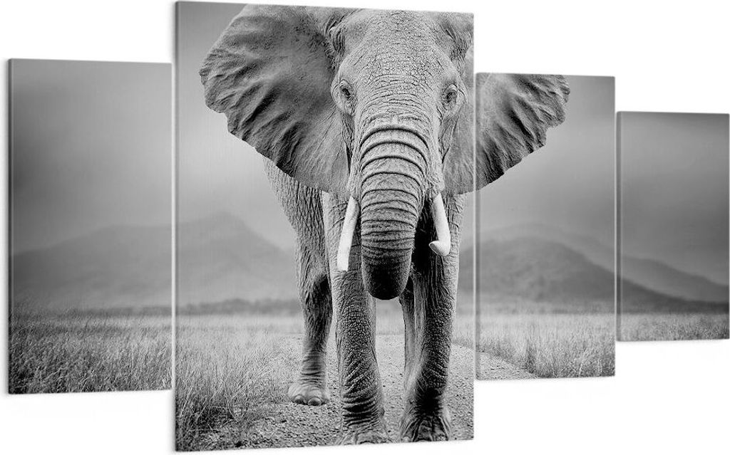 Bild auf Leinwand - Leinwandbild - 4 Teile - Elefant Wildnis Natur - 160x90cm - Wand Bild - Wanddeko - Wandbilder - Leinwanddruck - Bilder - Wandde...