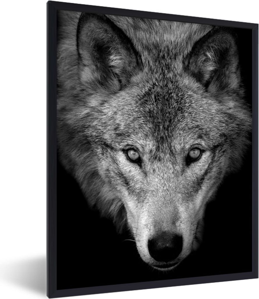 MuchoWow MuchoWow Gerahmtes Poster Nahaufnahme Wolf - schwarz und weiß 60x80 cm - Poster mit zchwarzem Bilderrahmen - Premium - Wanddeko Wohnz...