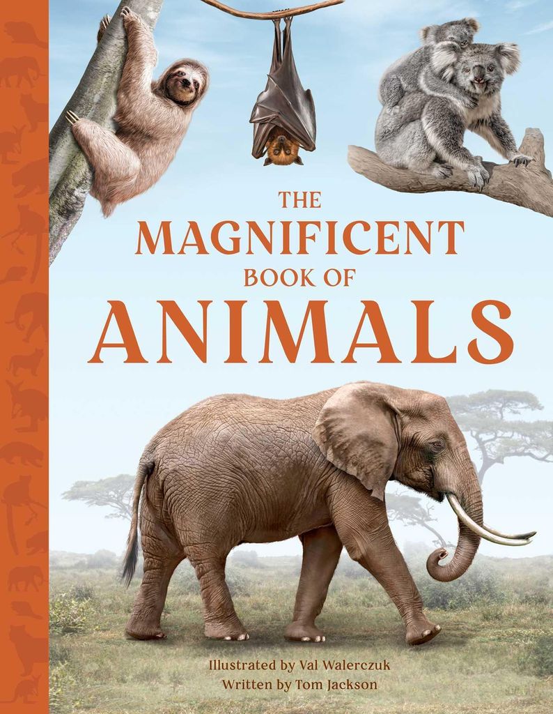 Jackson, T: Magnificent Book of Animals