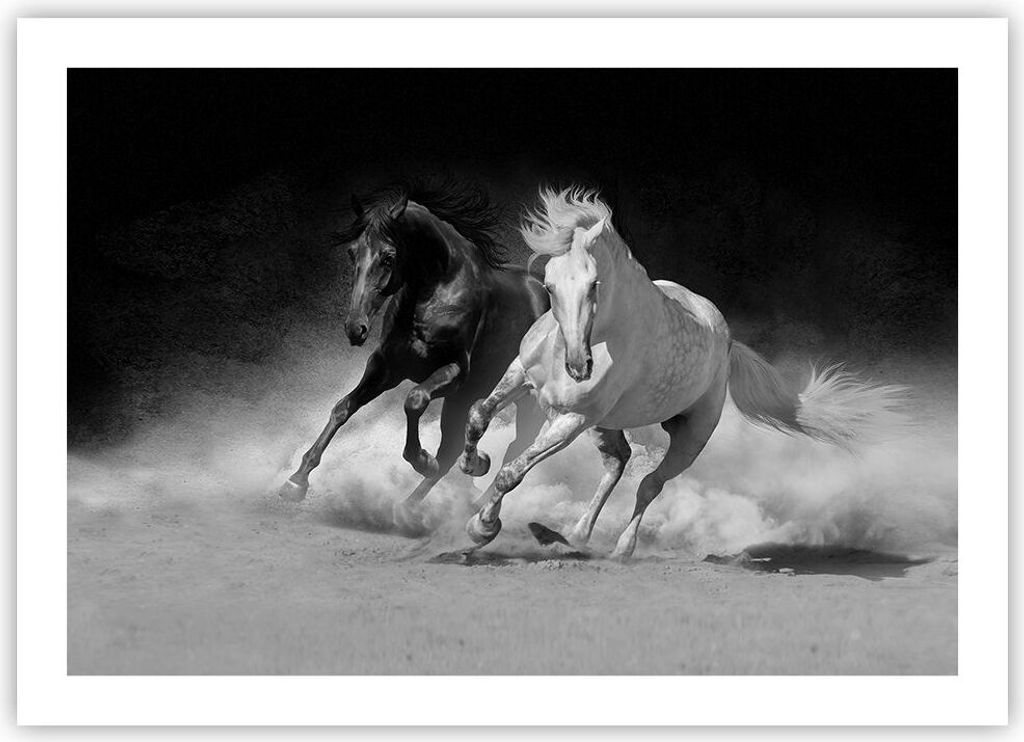 Poster - Poster ohne Rahmen - Andalusier Pferde Galopp - 70x50 cm - Wand Bild - Wanddeko - Wandbilder - Kunstposter - Wandposter - Bilder - Kunstdr...