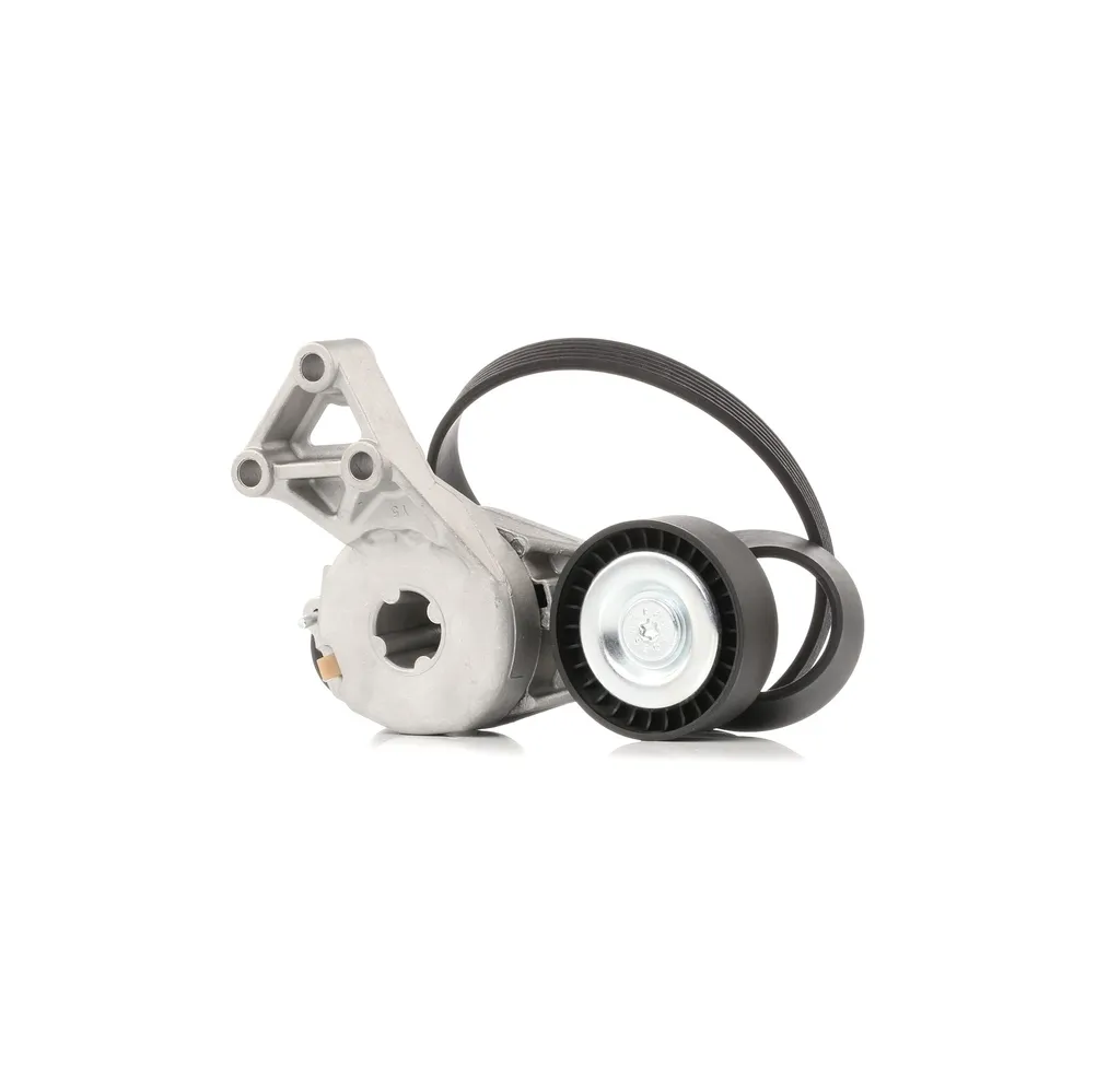 Entretien Moteur : Courroie Striée pour VW EOS, Golf Plus et Jetta III 1K2