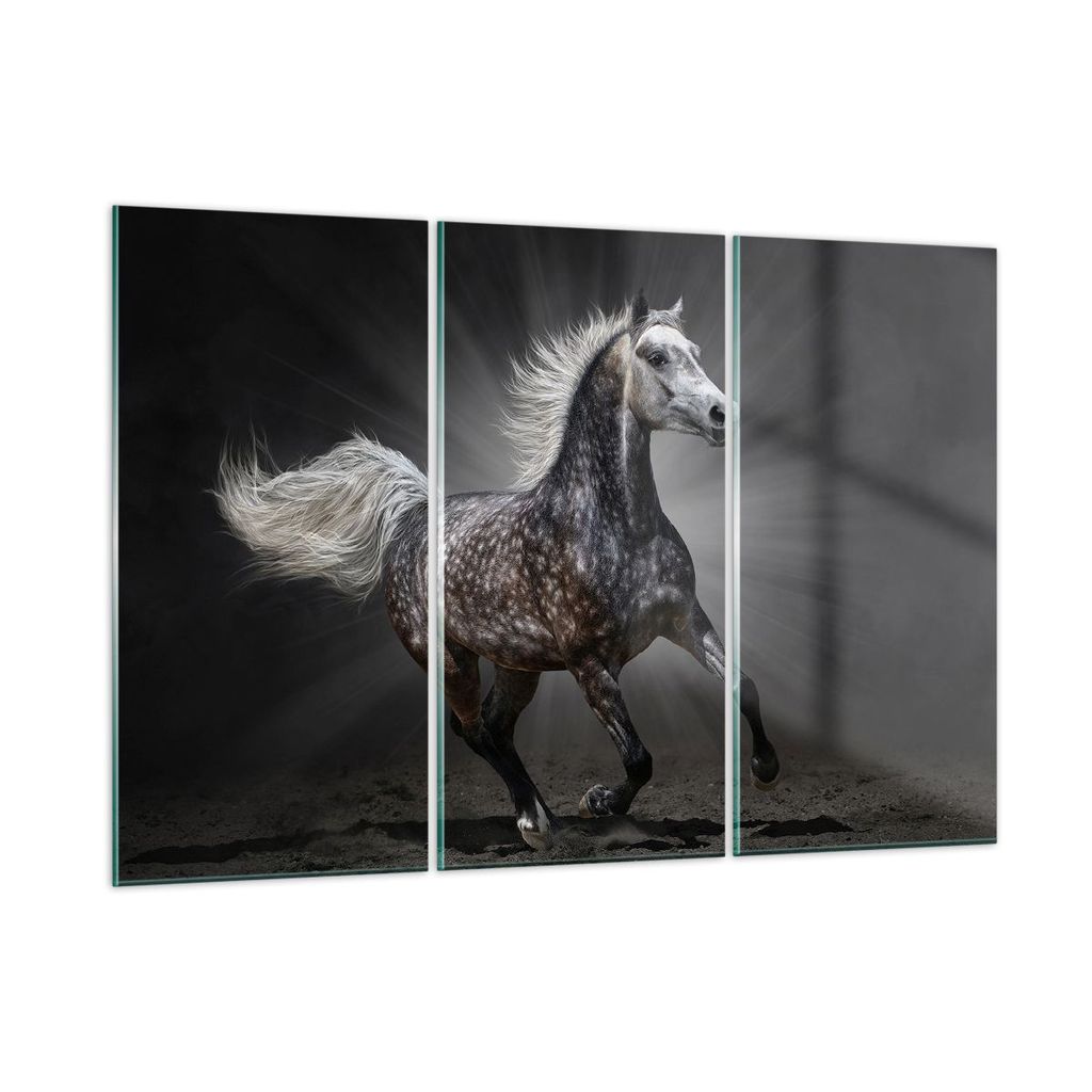 Bilder auf glas - Pferd Tier Natur - 105x70cm - Glasbilder - Wandbilder - Kunstdruck - zum Aufhängen bereit - Wanddekoration aus Glas - Glas Bilde...