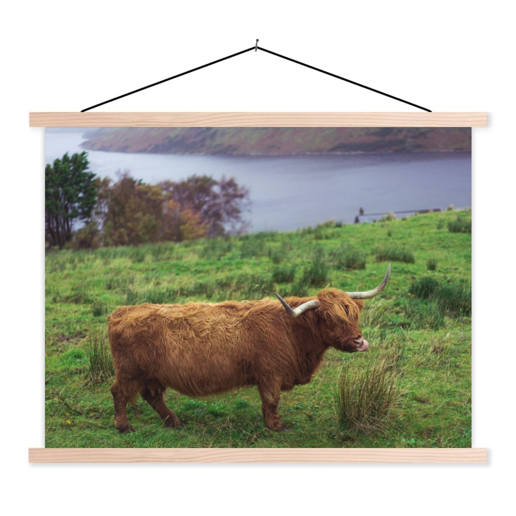 MuchoWow Textilposter Schottische Highlander - Gras - Wasser - Tiere 60x45 cm mit holzfarbenen Rahmen - Bild