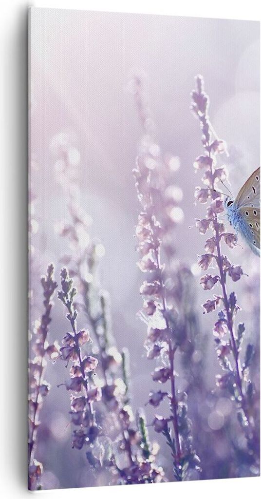 Bild auf Leinwand - Leinwandbild - Schmetterling Wiese Blume - 65x120cm - Wand Bild - Wanddeko - Leinwanddruck - Bilder - Kunstdruck - Wanddekorati...
