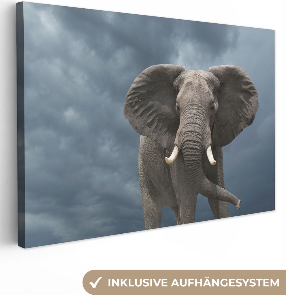 OneMillionCanvasses - Leinwandbilder - 140x90 cm, Elefant - Wolken - Tiere - Natur, Wandbilder Kunstdruck Wanddekoration