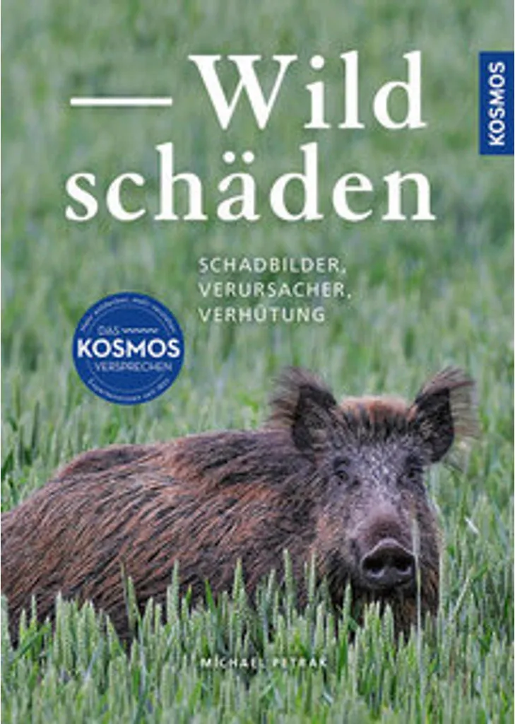Wildschäden : stopper le grignotage des arbres par les cervidés et porcs