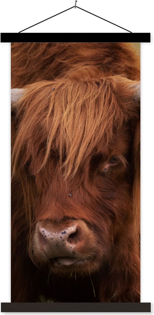 MuchoWow Textilposter Schottisches Hochlandrind - Orange - Tiere 90x180 cm mit schwarzem Rahmen - Dekoration Wohnzimmer