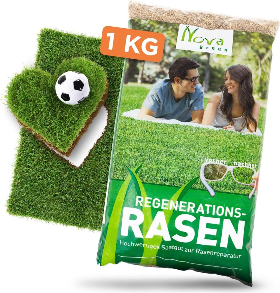 Rasen Nachsaat 1kg Produktbild 