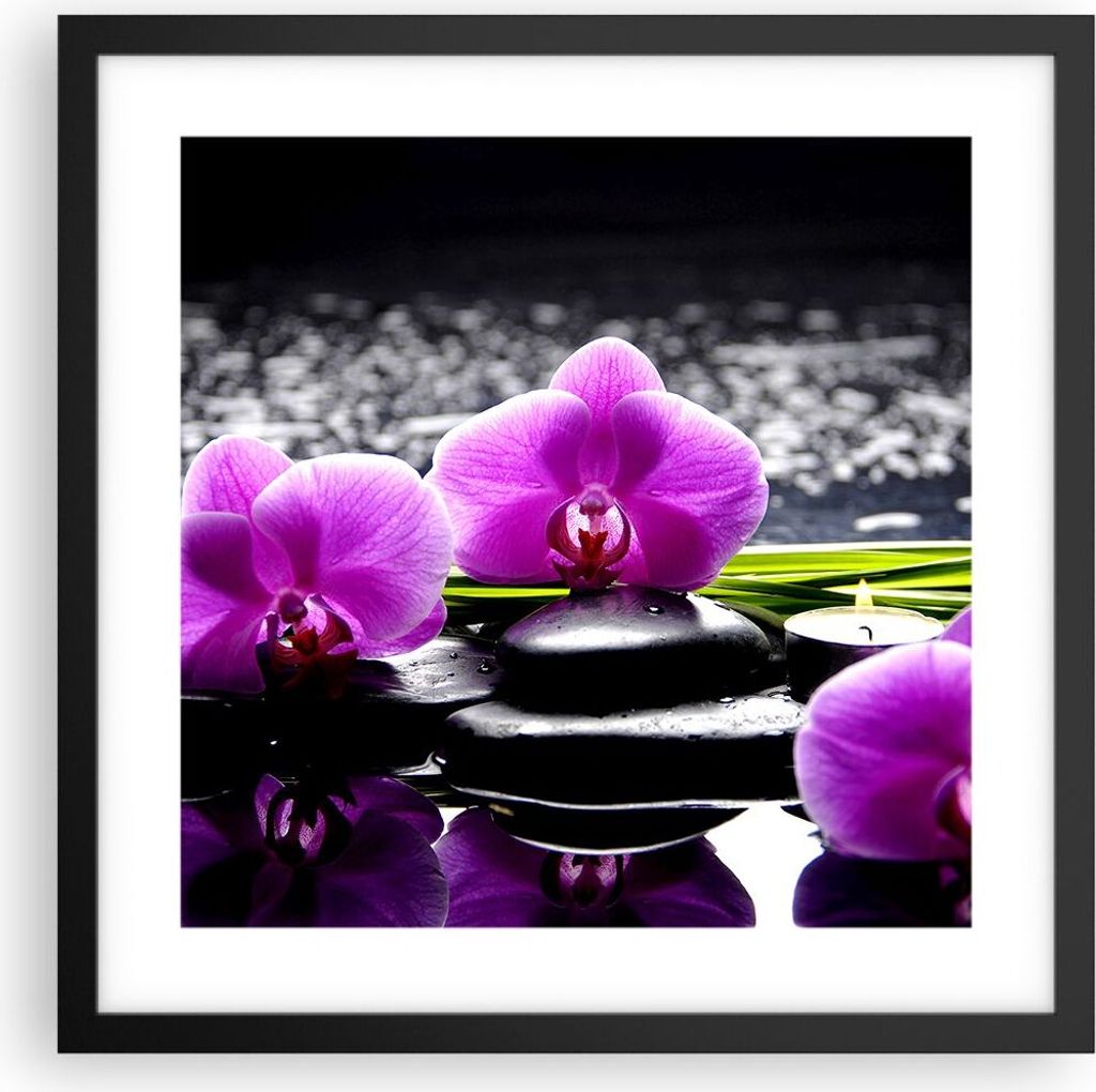Gerahmtes Poster - Schwarzer Rahmen - Orchidee Natur Wasser Blume - 40x40 cm - Wand Bild - Wanddeko - Wandbilder - Wandposter - Bilderrahmen - Bild...