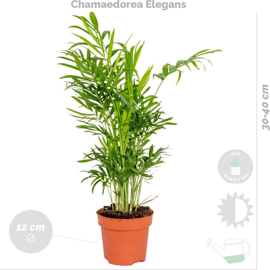 knstlicher wasserbecken Wasserbecken aus Aluminium fr den Garten - RR