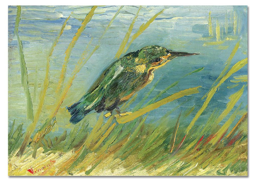 Giallobus - Eisvogel am Wasser - Vincent Van Gogh - 50L x 35B cm - Bild - Acrylglas