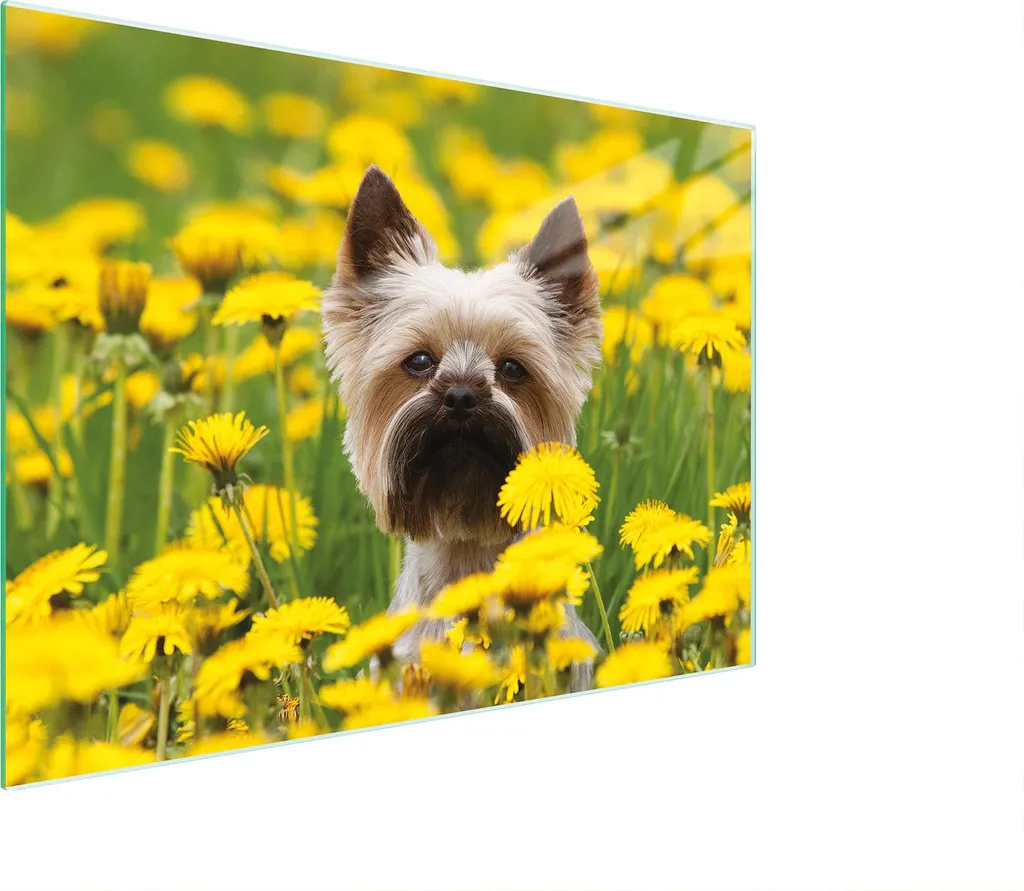 Tagliere Decorativo Dog Yellow 30x22 - Vetro Temperato per Cucina