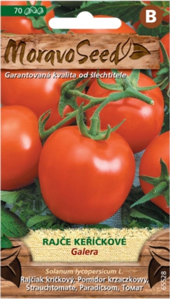 Rajče keříčkové GALERA, kulaté 65528 Obrázek produktu 