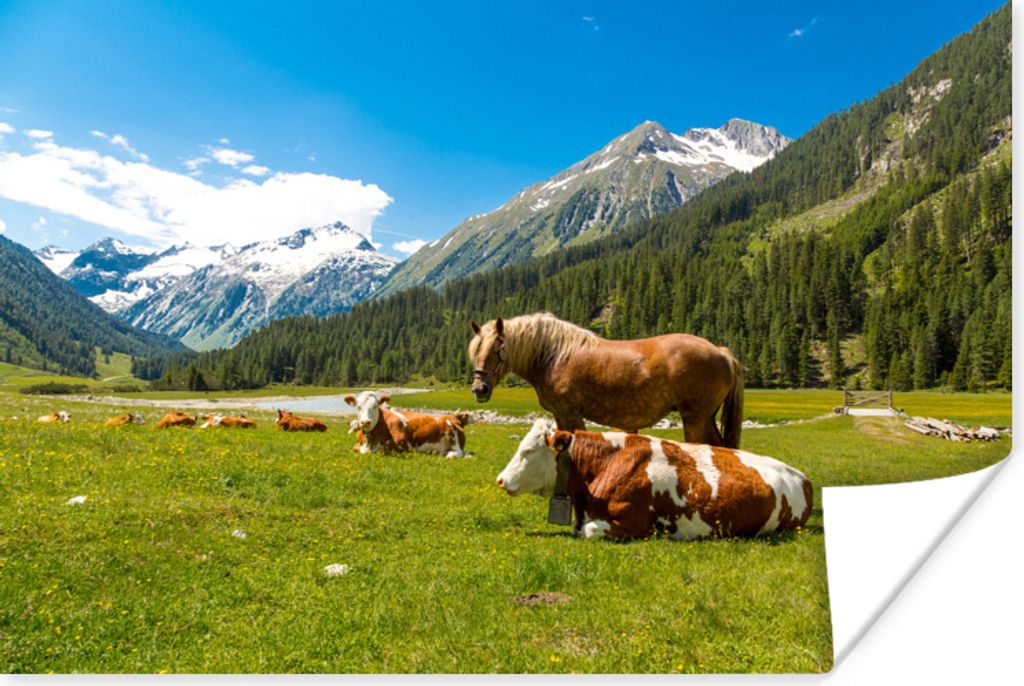 MuchoWow Poster Kühe - Pferde - Alpen 30x20 cm - Plakate - Print