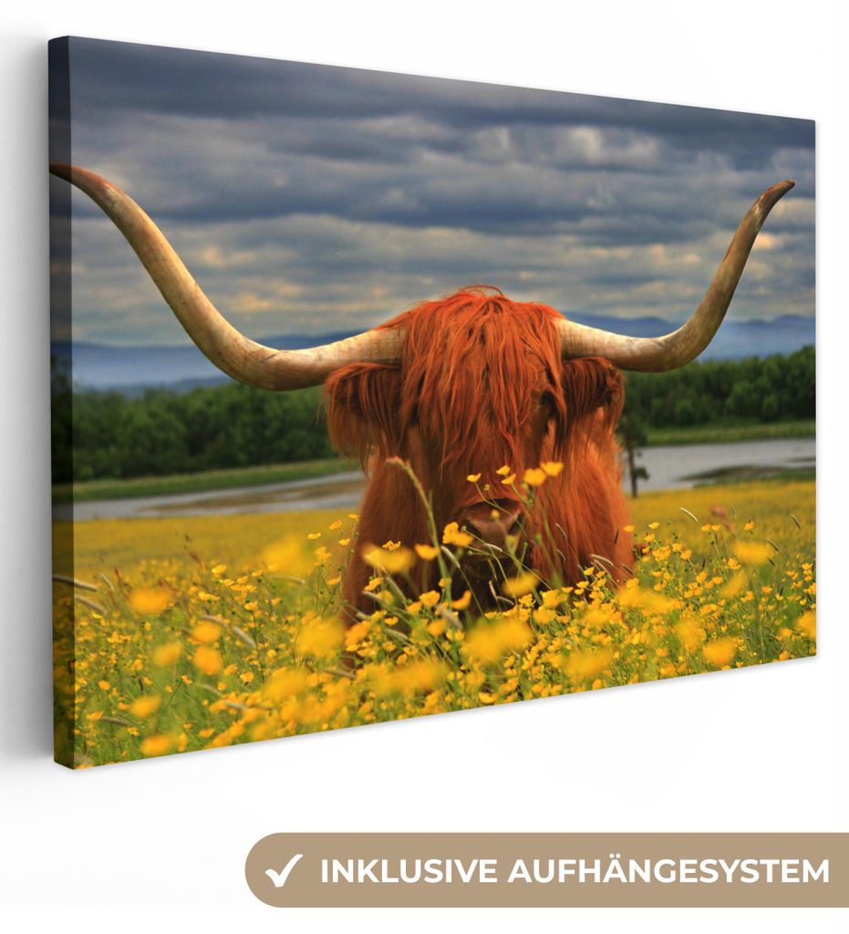 OneMillionCanvasses - Leinwandbilder - 150x100 cm, Schottisches Hochlandrind - Tiere - Blumen, Wandbilder Kunstdruck Wanddekoration