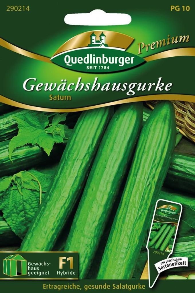 Quedlinburger Saatgut - Ogórek szklarniowy Saturn - Nasiona Zdjęcie produktu 