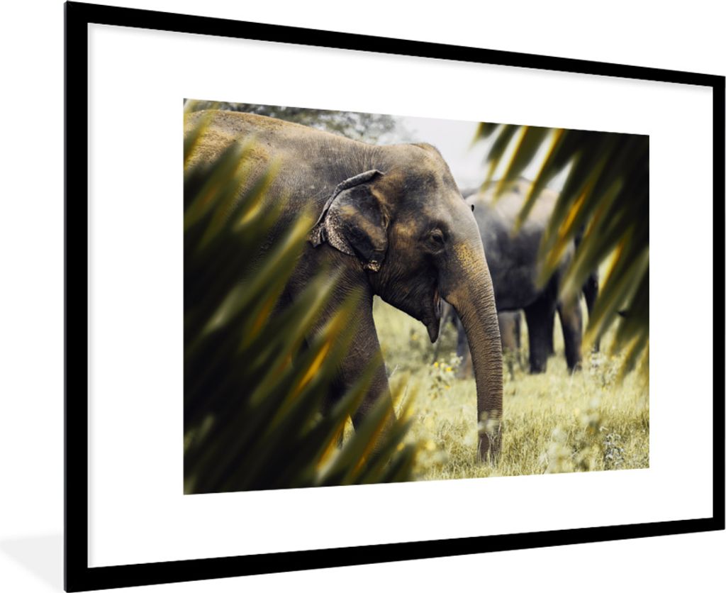 MuchoWow MuchoWow Gerahmtes Poster Elefant - Natur - Blätter 90x60 cm - Poster mit zchwarzem Bilderrahmen - Wanddekoration - Fotos