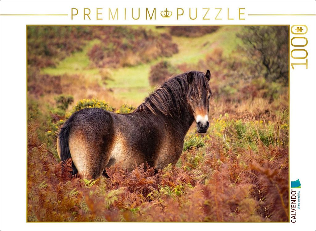 CALVENDO Puzzle Pony im Farbenrausch | 1000 Teile Lege-Größe 64x48cm Foto-Puzzle für glückliche Stunden