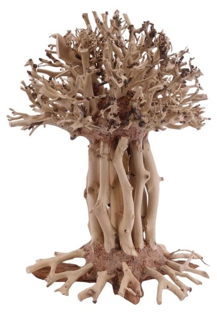 Bonsai Mammut Baum L 15x10x20 cm Wurzel Holz Aquarium Deko Aquascaping