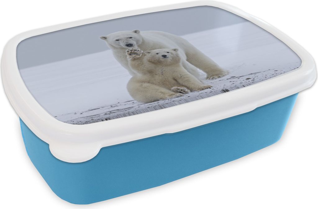 KitchenYeah Lunchbox Brotzeit Brotdose 17x11 cm Eisbär - Kind - Schnee Kinder Brotzeitdose - Lunch - Kunststoff - Brotbüchse - Sandwichbox - L...