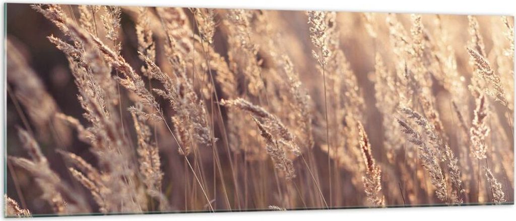 Bilder auf glas - Einteilig - Boho Ähren Feld - 140x50cm - Glasbilder - Wandbilder - Bilder - zum Aufhängen bereit - Wanddekoration aus Glas - Gl...