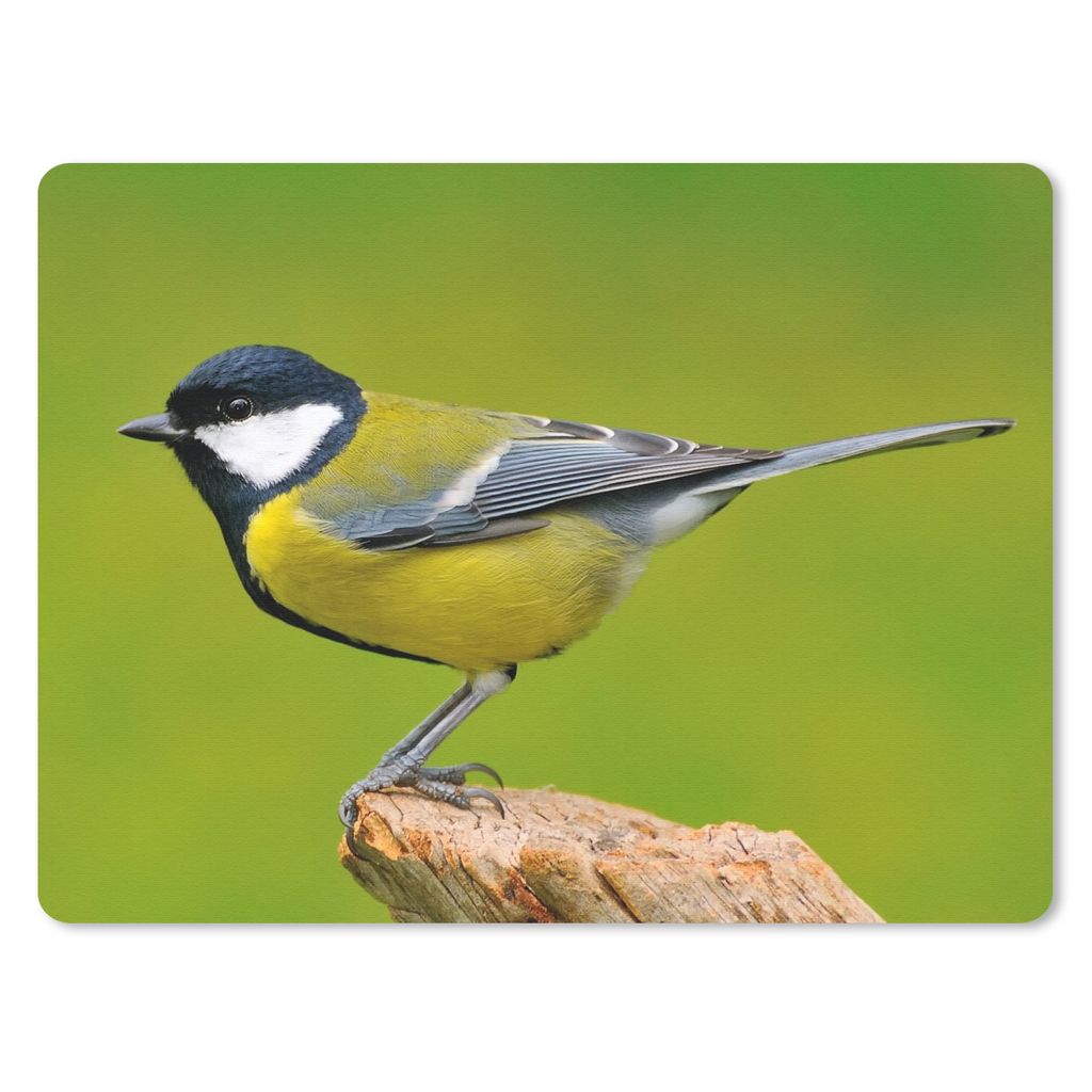 MuchoWow Mauspad Mousepad Vogel - Kohlmeise - Tiere - Grün 40x30 cm - Mousepads - Maus Mat - Pad - Mausunterlage - Anti Rutsch