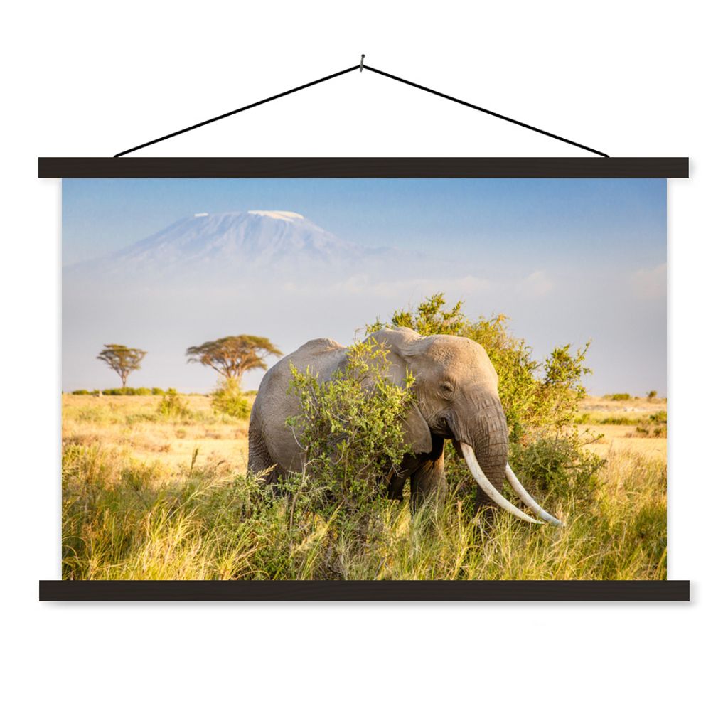 MuchoWow Textilposter Elefant - Tiere - Gras - Grün - Berg 150x100 cm mit schwarzem Rahmen - Schlafzimmer