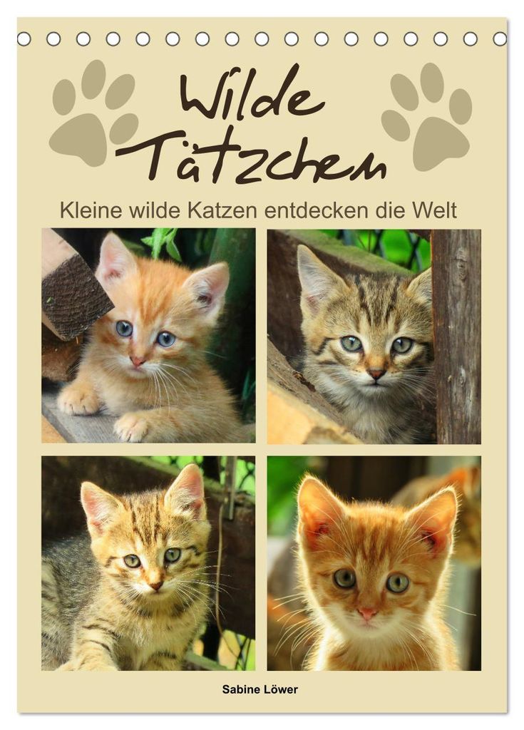 Wilde Tätzchen, kleine wilde Katzen entdecken die Welt (Tischkalender 2027 DIN A5 hoch), CALVENDO Monatskalender