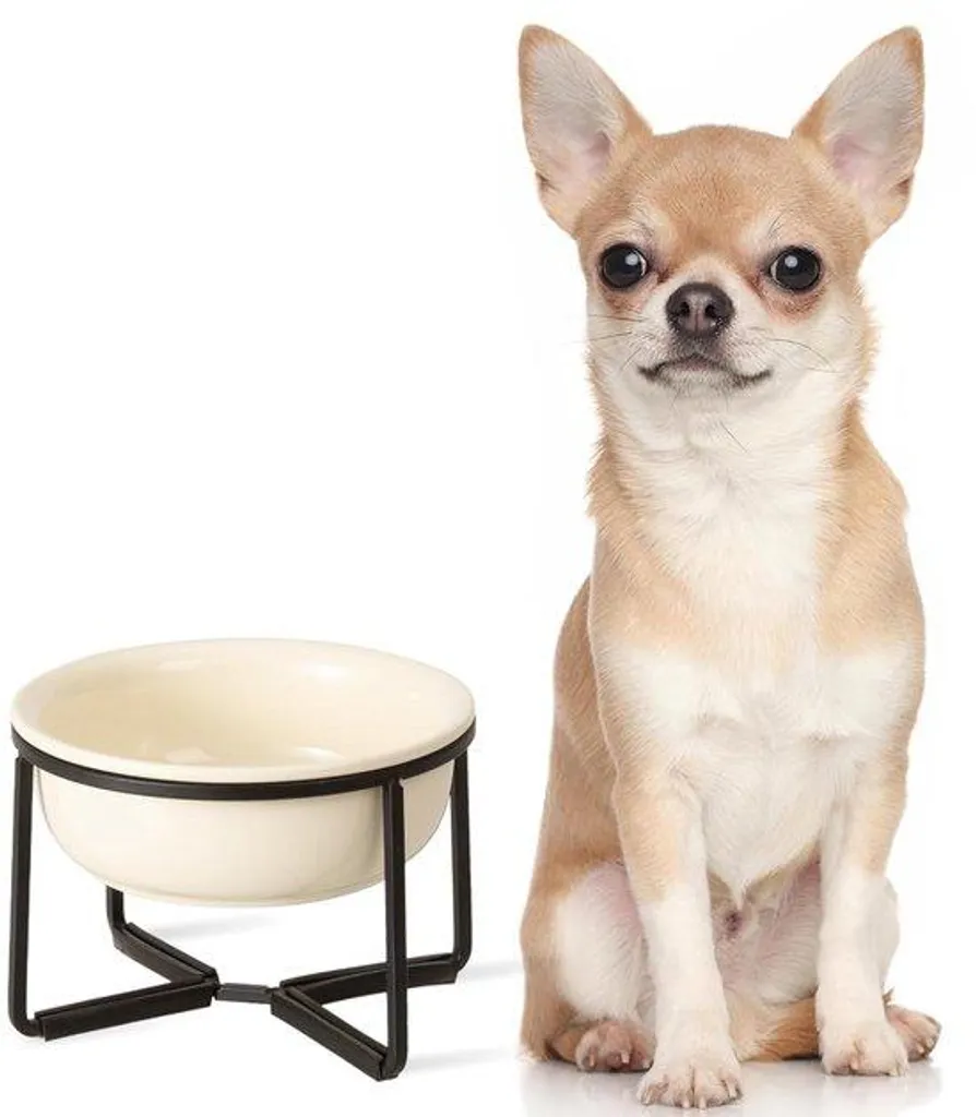 Gamelles pour chiens stables 400 ml beige - Idéal sols lisses et carrelage