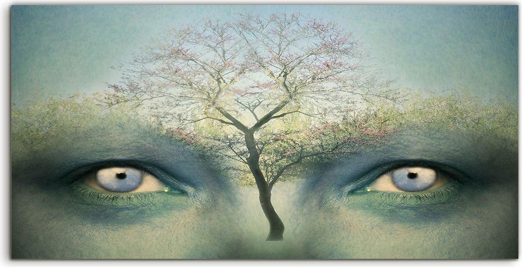 Coloray Canvas 120x60 Wandbild Leinwand Bilder Foto Abstrakte menschliche Augen Träum