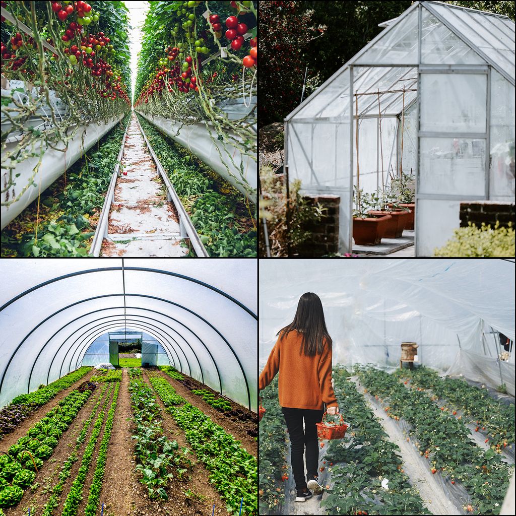 VEVOR PE Gewächshausfolie Folientunnel Treibhausfolie Produktbild 7