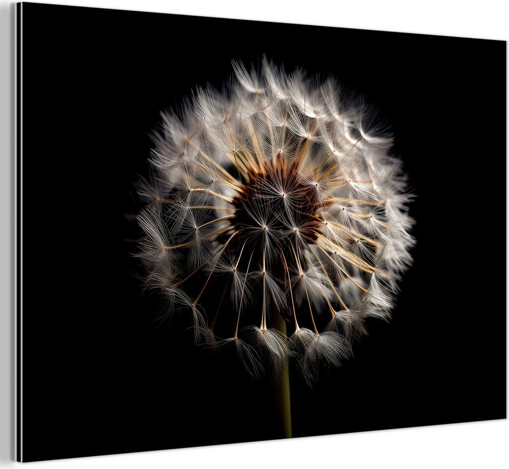 MuchoWow Wanddekoration Metall Metallbild Wandkunst 120x80 cm Blumen - Natur - Löwenzahn - Schwarz - Porträt MuchoWow Aluminium Gemälde - Alu Bild