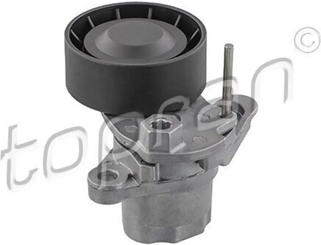Tendeur Topran 118 000 pour Courroie 04E145299E compatible VW Polo Golf
