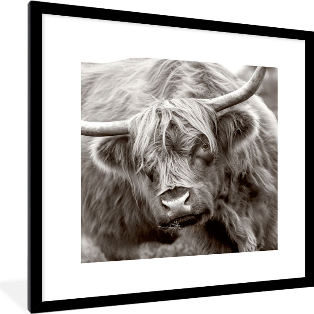 MuchoWow Gerahmtes Poster Schottischer Highlander - Schwarz - Weiß - Hörner 40x40 cm - Poster mit Schwarzem Bilderrahmen Wandposter Rahmen Foto...