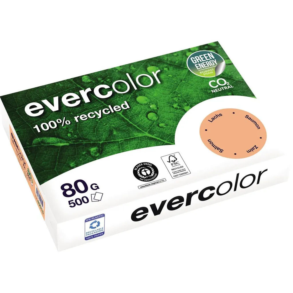 Carta A4 Colorata Clairefontaine Evercolor Lachs 80g - Per Idee Creative
