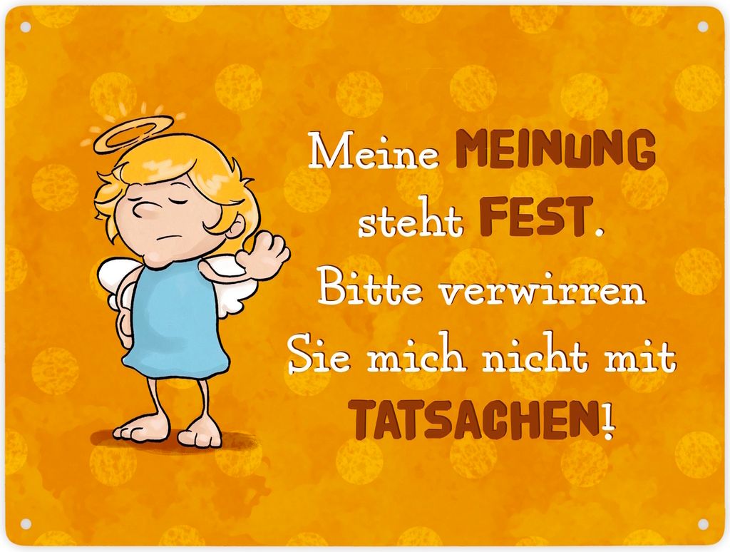 Engel Metallschild XXL in 28x38 cm mit Spruch- Verwirre mich nicht mit