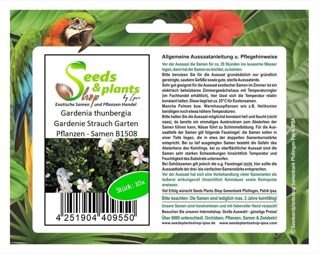 10x Gardenia thunbergia Gardenie Strauch Garten Pflanzen - Samen B1508