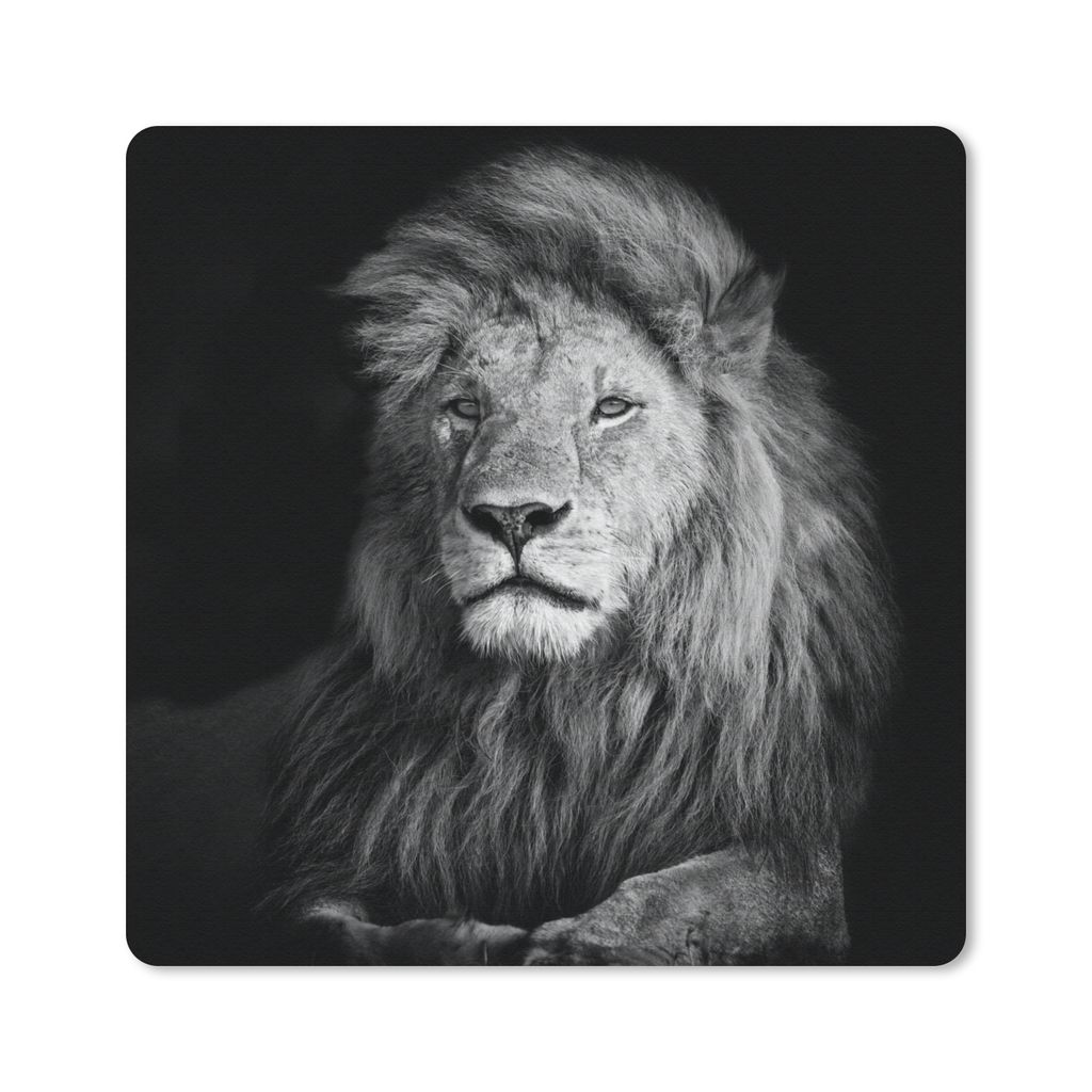 MuchoWow Mauspad Mousepad Wildlife - Löwe - Schwarz - Weiß 20x20 cm - Mousepads - Maus Mat - Pad - Mausunterlage - Desk Mat - Bureauartikeln