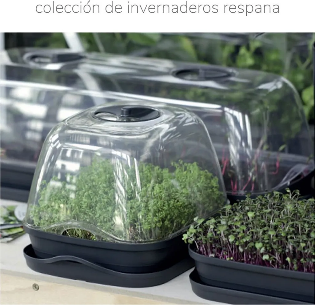 Prosperplast Sandy DSK180 Fioriera Con Vaso Decorativo