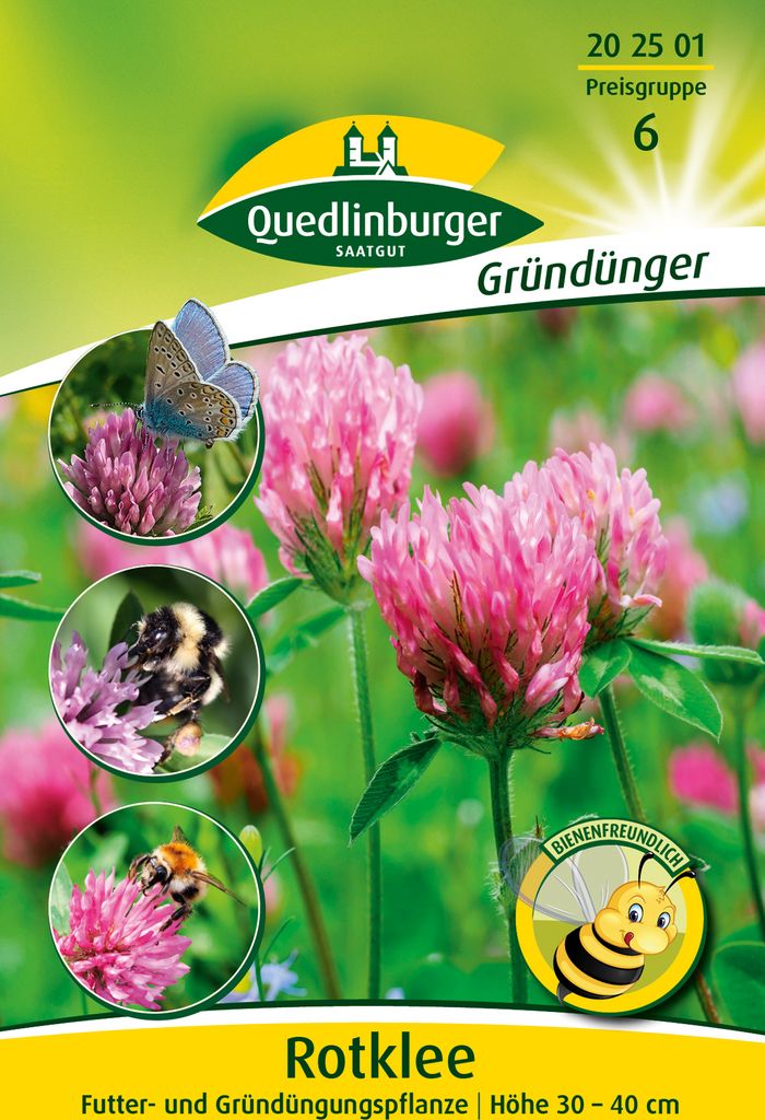 Rotklee mehrjährig (50 g) | Gründünger von Quedlinburger