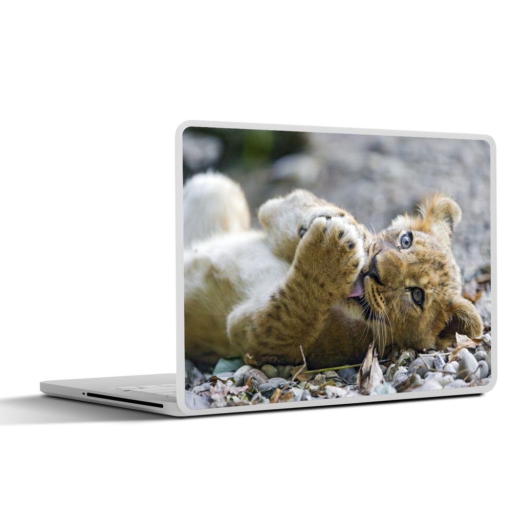 MuchoWow Laptop Aufkleber Sticker Cover Löwe - Löwenbaby - Wild 40x30 cm - Laptop Dekoration - Selbstklebend