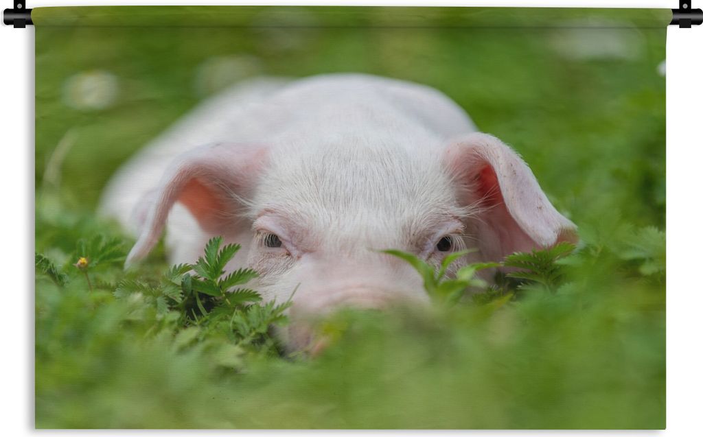 MuchoWow Wandteppich Wandbehang Schwein - Tiere - Groß 120x80 cm Tapisserie Dekoration Wandtuch - Wanddekorationen - Wandtücher