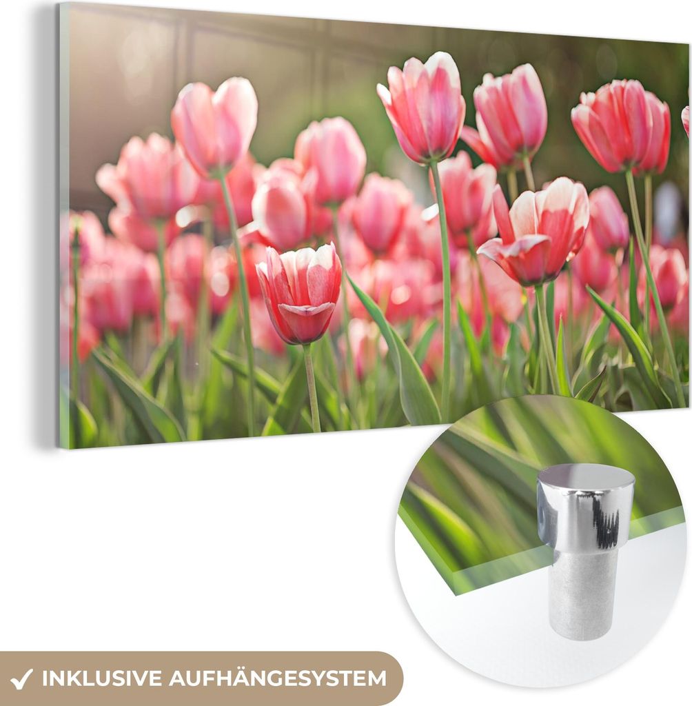 MuchoWow Glasbilder - Bilder auf Wandbild - Foto auf Glas Tulpen - Sonne - Frühling 120x60 cm Wanddekoration aus Glas - Acrylglasbild - Acrylbilde...